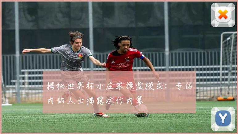 揭秘世界杯小庄家操盘模式：专访内部人士揭露运作内幕