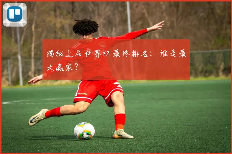 揭秘上届世界杯最终排名：谁是最大赢家？