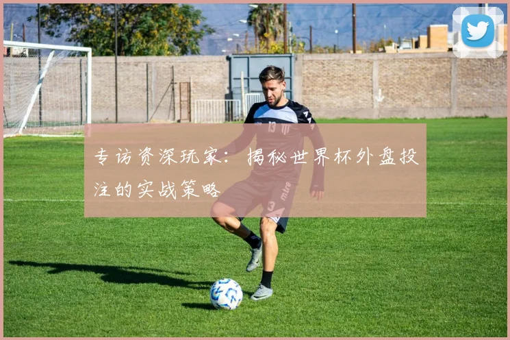 专访资深玩家：揭秘世界杯外盘投注的实战策略