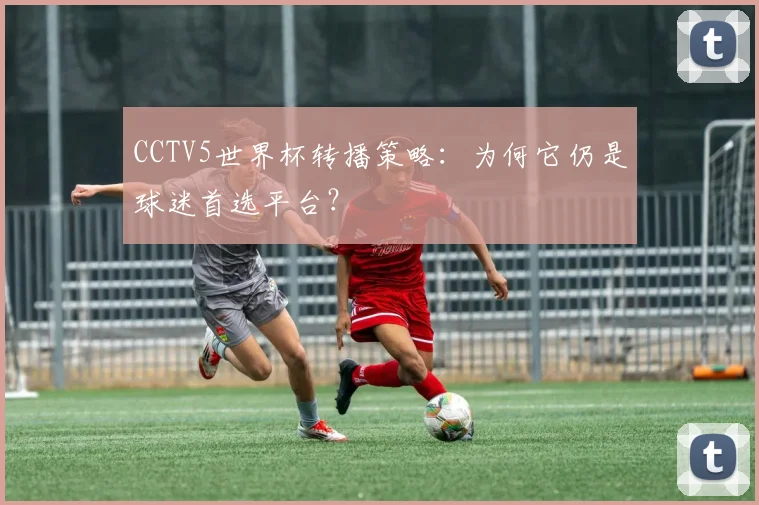 CCTV5世界杯转播策略：为何它仍是球迷首选平台？