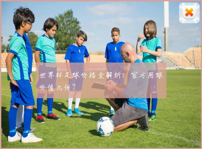 世界杯足球价格全解析:官方用球价值几何?