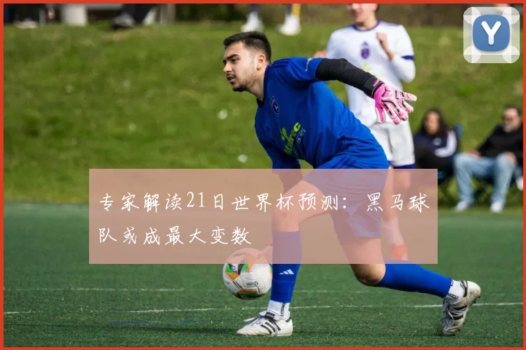 专家解读21日世界杯预测：黑马球队或成最大变数